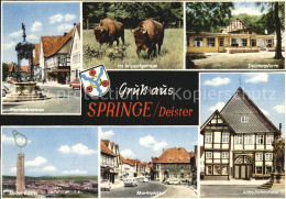 72430525 Springe Deister Marienbrunnen Wisentgehege Bueffel Deisterpforte Altes  - Otros & Sin Clasificación