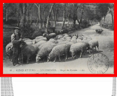 CPA (65)  Envoi De TARBES.  Berger Des Pyrénées, Moutons ...S1997 - Tarbes