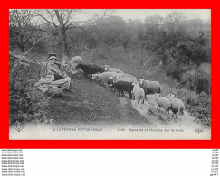 CPA Elevage.  Gardeuse De Moutons...S2602 - Viehzucht