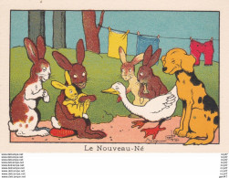 IMAGES ILLUSTREES.  Le Nouveau-né.lapin Chien Lievre   Illustrateur Benjamin RABIER. ..C347 - Autres & Non Classés