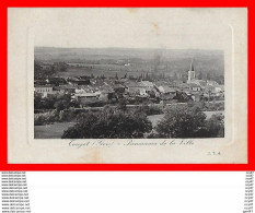 CPA (32) TOUGET.  Panorama De La Ville...S603 - Andere & Zonder Classificatie