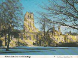 Durham Cathedral -  Unused   Postcard  - G32 - Durham City