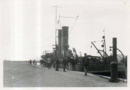 Remorqueur Samson Dans Le Port De Cannes (06) En 1917 - Bateaux