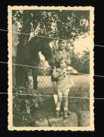 Orig. Foto 30er Jahre Schnappschuss Mädchen Und Junge Mit Pferd, Fohlen,  Snapshot Cute Girl And Boy With Horse, Foal - Anonieme Personen