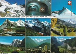 Jungfraujoch Trains - Trenes