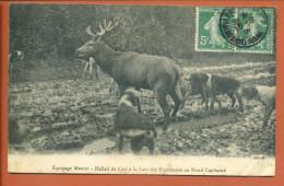 CPA 02 Aisne VILLERS COTTERETS - Equipage Menier - Hallali De Cerf à La Laie Des Ecorcheurs Rond Capitaine - Peu Commune - Villers Cotterets