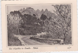 Carte Postale Corse Du Sud Zonza Les Aiguilles De Bavella Réf 30717 - Autres & Non Classés