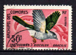 Archipel Des Comores - 1967 - Oiseaux  - N° 44 - Oblit - Used - Usati