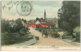 45 CERNOY. Entrée Route De Châtillon 1906 - Other & Unclassified