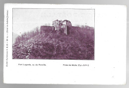 Prats De Mollo, Fort Lagarde Vu De Pareille (A17p76) - Other & Unclassified