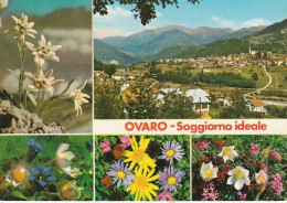 OVARO SOGGIORNO IDEALE VEDUTINE ANNO 1972 VIAGIATA - Udine