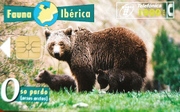 Scheda Telefonica Fauna Ibèrica Oso Pardo (ursus Arctos) (Spagna) - Sonstige – Europa