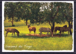 Togo, Savanes Du Togo.Les Zebres De La Rèserve Naturelle De Sarakawa. Standard Size, New, Back Divided. - Zebra's