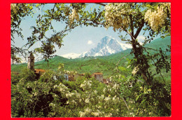 ITALIA - Abruzzo - Cartolina Viaggiata Anni 70 - Abruzzo Pittoresco (43) - Gran Sasso D'Italia (m. 2914) - Sonstige & Ohne Zuordnung