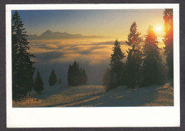 094401/ RENE ROBERT, Coucher De Soleil En Montagne, Ed Agep - Autres & Non Classés