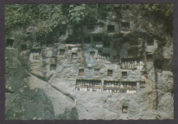 115574/ SULAWESI, Celebes, Toraja Land, Stone Graves At Lemo - Indonesien