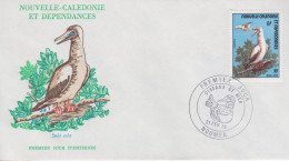 Enveloppe  FDC  1er Jour   NOUVELLE CALEDONIE    Oiseau  De  Mer   1976 - FDC