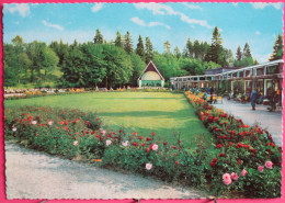 Visuel Très Peu Courant - Allemagne - Braunlage Harz - Kurpark Mit Wandelhalle Und Musikpavillon - Braunlage