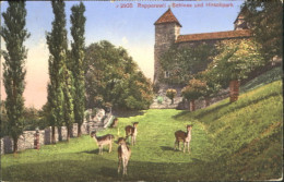 10547809 Rapperswil SG Rapperswil Schloss X 1916 Rapperswil SG - Other & Unclassified