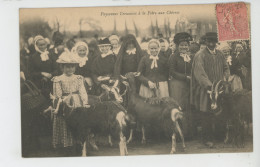 CREUSE - Paysans Creusois à La Foire Aux Chèvres - Sonstige & Ohne Zuordnung