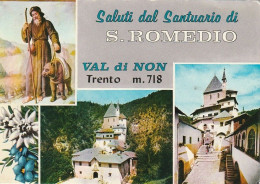 VAL DI NON SALUTI DAL SANTUARIO DI S ROMEDIO VEDUTINE ANNO 1967 VIAGGIATA - Trento