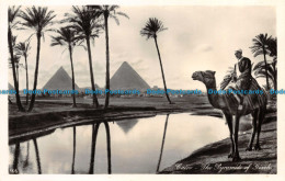 R131816 Cairo. The Pyramids Of Gizeh. Lehnert And Landrock. No 166 - World