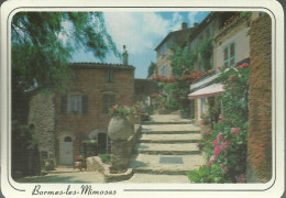 Bormes-Les-Mimosas - Lou Poulid Cantoun - (P) - Bormes-les-Mimosas