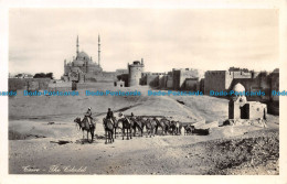 R131827 Cairo. The Citadel. Lehnert And Landrock - World