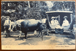 Carro De Bois - Madeira - 14/05/1913 - Madeira