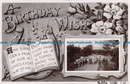 R131872 Greetings. A Birthday Wish. Sheeps On The Road. Wildt And Kray. 1903 - World