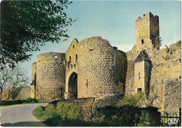 France >  [24] Dordogne > Domme > Bastide Française " La Porte Des Tours "    > N°963 - Domme