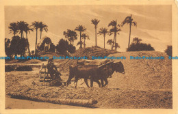 R130766 Cairo. Straw Cutting Machine. Castro Brothers - World