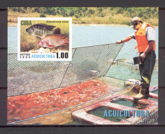 Cuba 2008 Fishes IMPERFORATE MS MNH - Nuevos