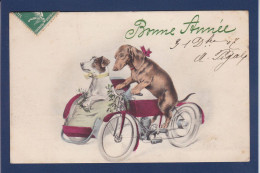 CPA Chien Teckel Dackel Dachshund Circulée Moto Side Car - Chiens