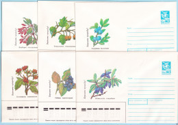 USSR 1988.1011-1212. Berries. Prestamped Covers (6), Unused - 1980-91