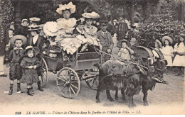 LE HAVRE - Voiture De Chèvres Dans Le Jardin De L'Hôtel De Ville - Très Bon état - Non Classés