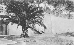 SAN SALVADOUR - Le Palmier Et La Grande Terrasse - Très Bon état - Hyeres