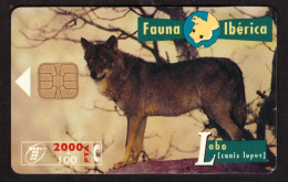 Scheda Telefonica Fauna Ibèrica Lobo (canis Lupus) (Spagna) - Andere - Europa