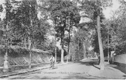 CHAMPIGNY - L'Entrée De Champigny - Très Bon état - Champigny Sur Marne