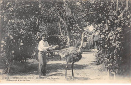 NICE - Ferme D'Autruches - Dressage D'une Autruche - Très Bon état - Sonstige & Ohne Zuordnung