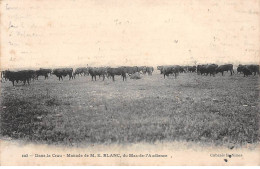 Dans La Crau - Manade De M. E. Blanc Du Mas De L'Audience - Très Bon état - Arles