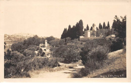 MOUGINS Et Notre Dame De Vie - Très Bon état - Mougins