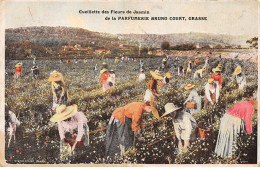 GRASSE - Cueillette Des Fleurs De Jasmin De La Parfumerie Bruno Court - état - Grasse