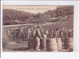 COTE-D'OR: Les Vendanges En Bourgogne, Cueillette Du Raisin - Très Bon état - Other & Unclassified