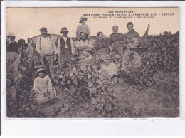 COGNAC: Les Vendanges Dans Un Des Vignobles De MM. A. Aubinaud - Très Bon état - Cognac