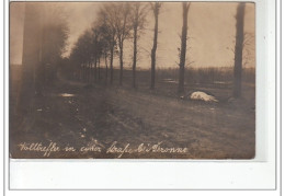 PERONNE - CARTE PHOTO - Très Bon état - Le Crotoy