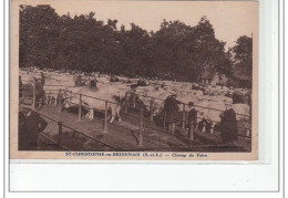 SAINT CHRISTOPHE EN BRIONNAIS - Champ De Foire - Très Bon état - Autres & Non Classés