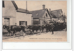 NOGENT LE ROI - Cavalcade Du 9 Avril 1905 - Char De L'Agriculture - Très Bon état - Andere & Zonder Classificatie