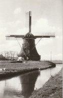 Winsum Polder Huins Molen Ao. 1829 Foto Mei 1975   4847 - Sonstige & Ohne Zuordnung