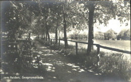 10546970 Heiden AR Heiden Promenade Ungelaufen Ca. 1930 Heiden - Altri & Non Classificati